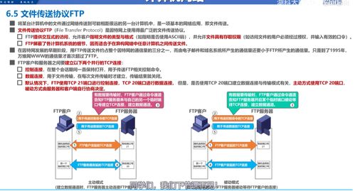 计算机网络学习记录 应用层（Day 6）与计算机网施工实践